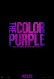 Kolor purpury